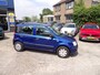 Fiat Panda 1.2 Edizione Cool / Rijklaarprijs