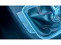 Hyundai i30 Fastback 2.0 T-GDI N2 Performance 275pk Pano / Memory / CAM / Clima / PDC