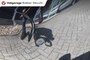 Fiat Punto 0.9 TWINAIR SPORT