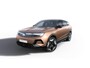 Opel Grandland AWD Ultimate - Electric | Draadloze telefoonlader (Inductie) | Elektronische klimaatregeling met twee zones | LED dagrijverlichting