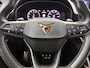 CUPRA Leon 1.5 eTSI Business Edition Automaat | Adaptive Cruise | Memory bestuurdersst | Stoelverwarming | CarPlay | Camera | BTW