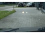 BMW X1 XDrive25e Business Edition Plus | Head up display | Apple Carplay