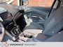 Ford C-Max 1.6 Titanium ParkeerSensoren/Clima/Airco/Cruise/Trekhaak/DAB