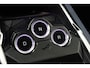 Alpine A290 GTS 52 kWh | Camera | 19"Lichtmetaal | AndroidAuto AppleCarplay | SoH 99% | Trekhaak | Alarm Klasse III |