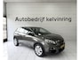 Peugeot 3008 1.2 PureTech BL Exec Bovag Garantie Automaat