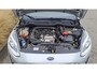 Ford Fiesta 1.0 EcoBoost Titanium voorruitverwarming - trekhaak