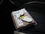 Kia EV9 GT-Line AWD 99.8 kWh | Trekhaak Afneembaar | Panoramaschuifdak | LED-matrix | Head-up | Meridian premium sound | Stoelverwarming/ventilatie | 360°-camera |