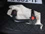 Kia Sorento 1.6 T-GDI Plug-in Hybrid 4WD ExecutiveLine 7p. | Panoramaschuifdak | 360 Camera | Stoelventilatie | Head-up display | Keyless | Dodehoekcamera | Bose Premium Sound |