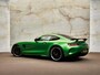 Mercedes-Benz AMG-GT 4.0 R , Full PPF, Magno, ceramic, carbon, 20", Burmester, privacy, dealeroh, NP267k