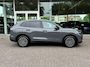 Volkswagen Tiguan 1.5 eTSI 150pk DSG-7 GOAL| 360grCamera|Elek.Achterklep|Dode hoek|IQ LED| Rijklaarprijs incl.garantie