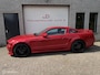 Ford Mustang USA 4.6 V8 GT Bullit **showcar**