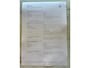 Volkswagen Polo 1.0 TSI Highline Pano/Carplay/Navi/ACC