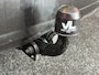 Renault Modus 1.4-16V Dynamique Comfort  | Airco | Trekhaak | APK 04-07-2027