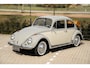 Volkswagen Kever 1200 Org. Nederlands 1965 Uitmuntende staat