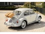 Volkswagen Kever 1200 Org. Nederlands 1965 Uitmuntende staat