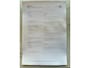 Volkswagen T-Roc 2.0 TSI 4Motion Sport Pano/Carplay/ACC/Stuurverw