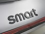 smart #1 BRABUS 66 kWh | Head-up display | Warmtepomp | Memorypakket voorstoelen | 360° camera | Panoramadak | Adapt. cruise control | Electric Days |