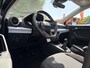 SEAT Ibiza 1.0 EcoTSI Style Online PDC, Carplay, LED, Rijklaar met beurt & garantie!
