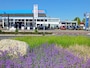 Kia Stonic 1.0 T-GDi 120pk DCT7 MHEV Automaat DynamicLine
