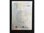 Volkswagen Polo 1.0 TSI Highline|Automaat|Carplay|Adaptive|