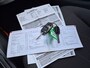 SEAT Ibiza ST 1.2 TDI COPA Plus Ecomotive Cruise|Trekhaak