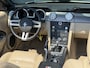 Ford Mustang SHELBY GT CONVERTIBLE 4.6 V8 I 51000 Miles I Collectors Item