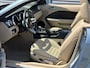 Ford Mustang SHELBY GT CONVERTIBLE 4.6 V8 I 51000 Miles I Collectors Item