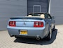 Ford Mustang SHELBY GT CONVERTIBLE 4.6 V8 I 51000 Miles I Collectors Item