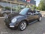 Volkswagen Beetle New Cabriolet 1.6 Turijn Airco Cruise