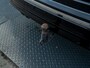 Volkswagen Tiguan 1.4 TSI ACT Highline Business R | Pano | Trekhaak wegkl. | Elk. A-klep | Side Assist | Camera | Prijs Rijklaar!!