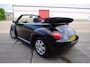 Volkswagen Beetle New Cabriolet 1.6