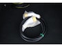 Audi A6 Audi 55 TFSIe quattro sport | UW09981 |