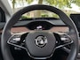Skoda Enyaq iV 60 Business Edition Plus 1e Eigenaar/ head up display/ Camera/ Trekhaak/ Full Options