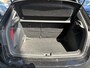 Skoda Fabia 1.0 TSI Business Edition 39.000 km!