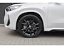 BMW X1 sDrive20i M Sport | Pano | 360 cam | 20 inch | Leer