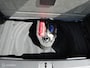Volkswagen Passat Variant , benzine, automaat, 187.990