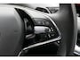 Skoda Enyaq iV 80 Assistentie Pack | Light Pack |Comfort Pack | Climate Pack