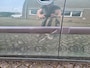 Skoda Roomster 1.6-16V AUTOMAAT ✅TREKHAAK