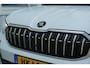 Skoda Kodiaq 1.5 TSI PHEV Business Edition | PANO | Trekhaak