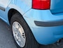 Fiat Panda 1.2 Dynamic | Elek. Ramen | Nieuwe APK