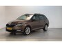 Skoda Fabia Combi 1.0 Business Edition Parkeersensoren App Connect Cruise Control Climate Control
