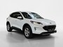 Ford Kuga 2.5 PHEV Trend I Winterpakket I Navi I Cruise Control