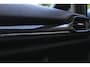 Ford Fiesta 1.0 EcoBoost ST-Line - 100pk - camera - nette auto