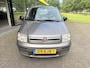 Fiat Panda 1.2 Edizione Cool