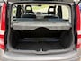 Fiat Panda 1.2 Active Airco Elek. Ramen Nap