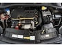 Citroën C4 Cactus 1.6 BlueHDi Business Plus PANO LEER CLIMA CAMERA TREKHAAK etc.