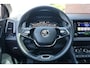 Skoda Karoq 1.5 TSI ACT Business Edition Plus Camera | Pano | ACC *all in prijs*