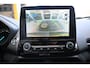 Ford EcoSport 1.0 EcoBoost Titanium | AUTOMAAT | TREKHAAK | CAMERA | STUUR/STOELVERWARMING | NAVI | B&O | CRUISE CONTROL | CLIMATE CONTROL | PDC | LMV