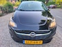 Opel Corsa 1.4 Online Edition Apple/Android stoel/stuur verw.