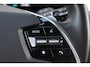 Kia Niro EV DynamicLine 64.8 kWh | Nieuw Model | 100% SOH | Camera |